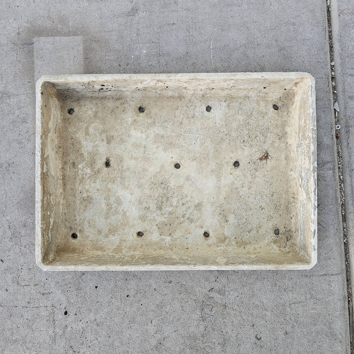 Rectangular Willy Guhl Tray