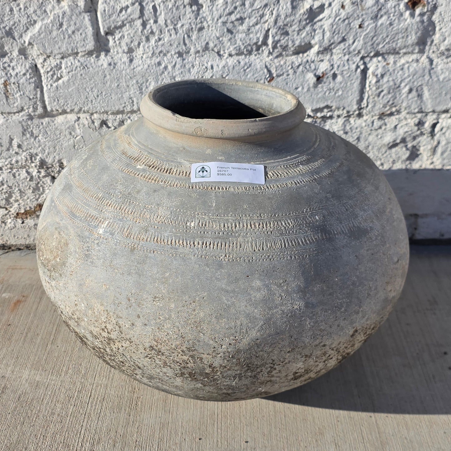 Antique French Terracotta Pot