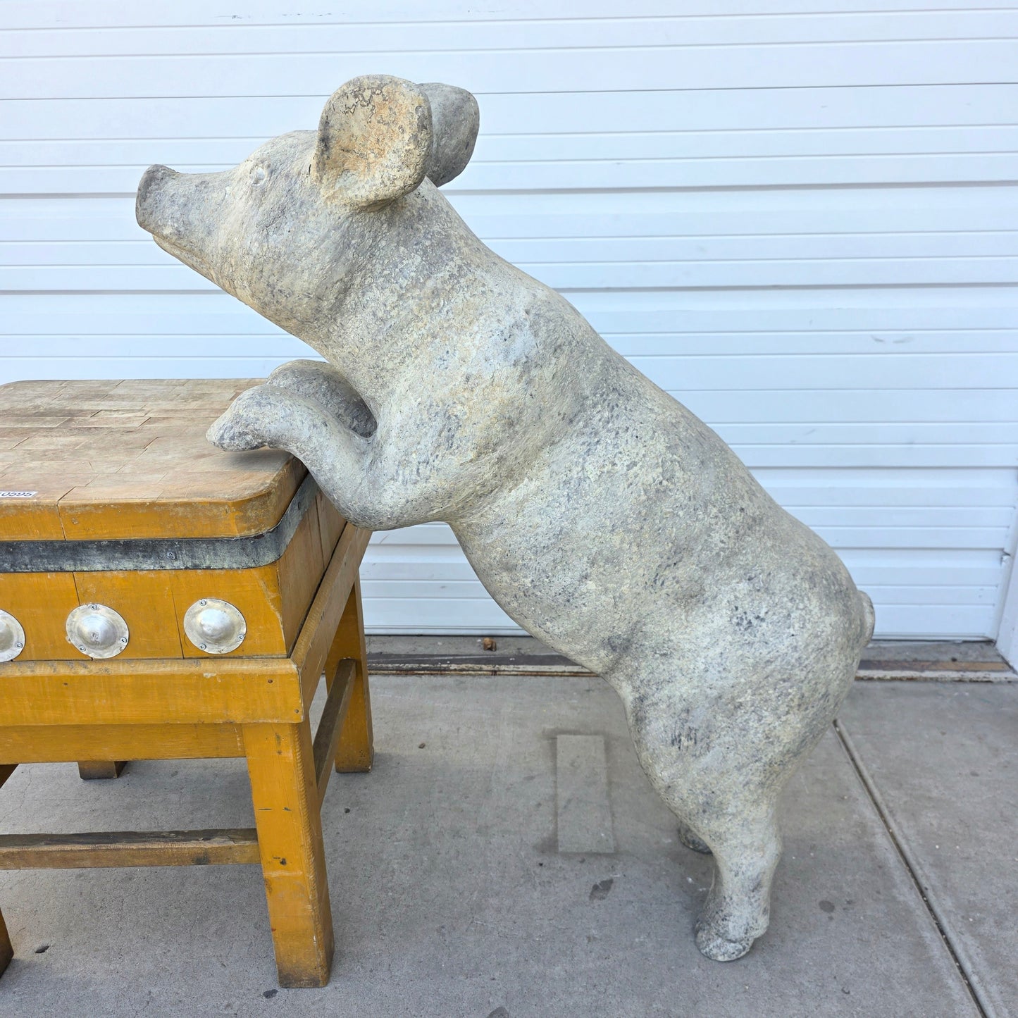 Large Standing Plaster Pig
