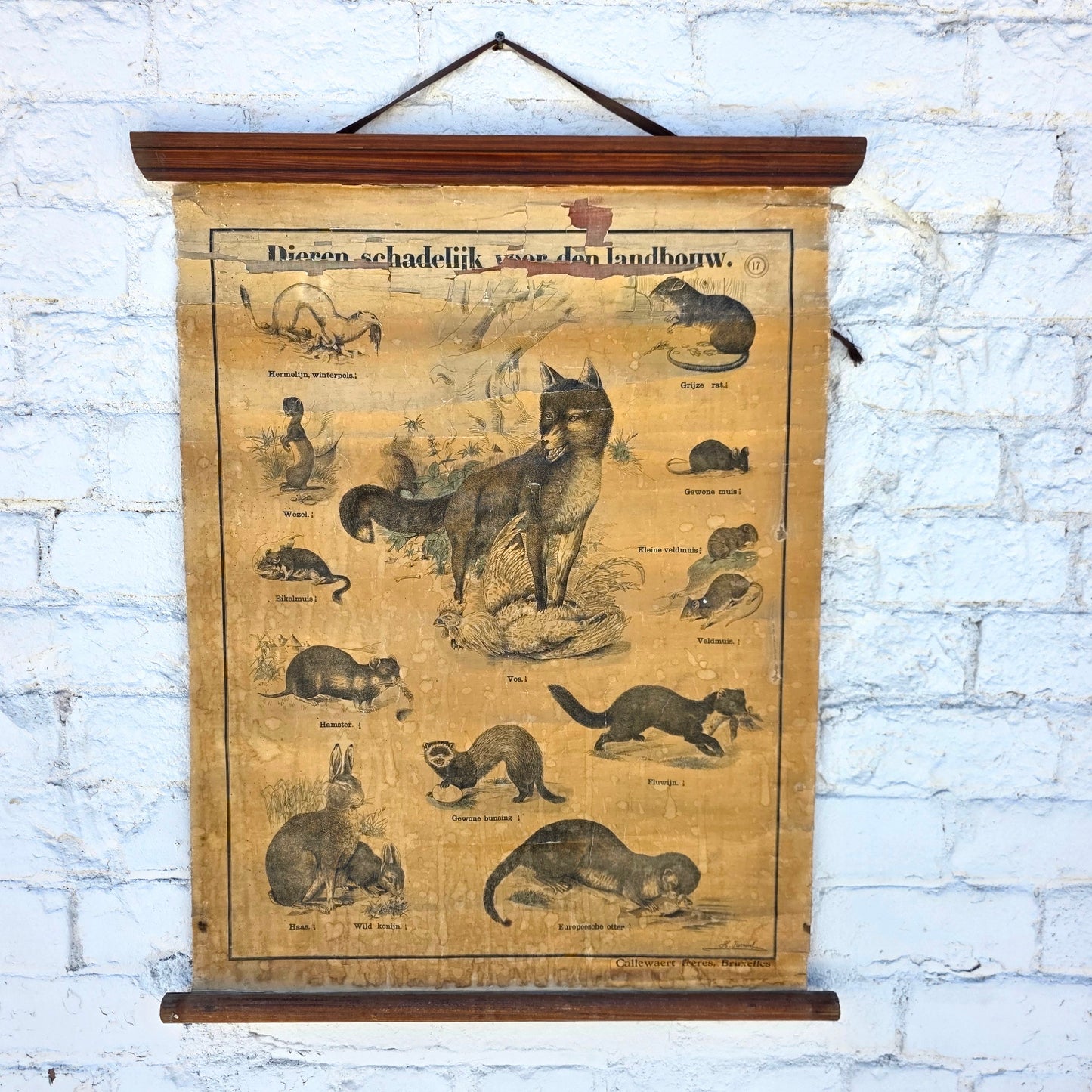 Antique Dutch Animal/Agriculture School Chart