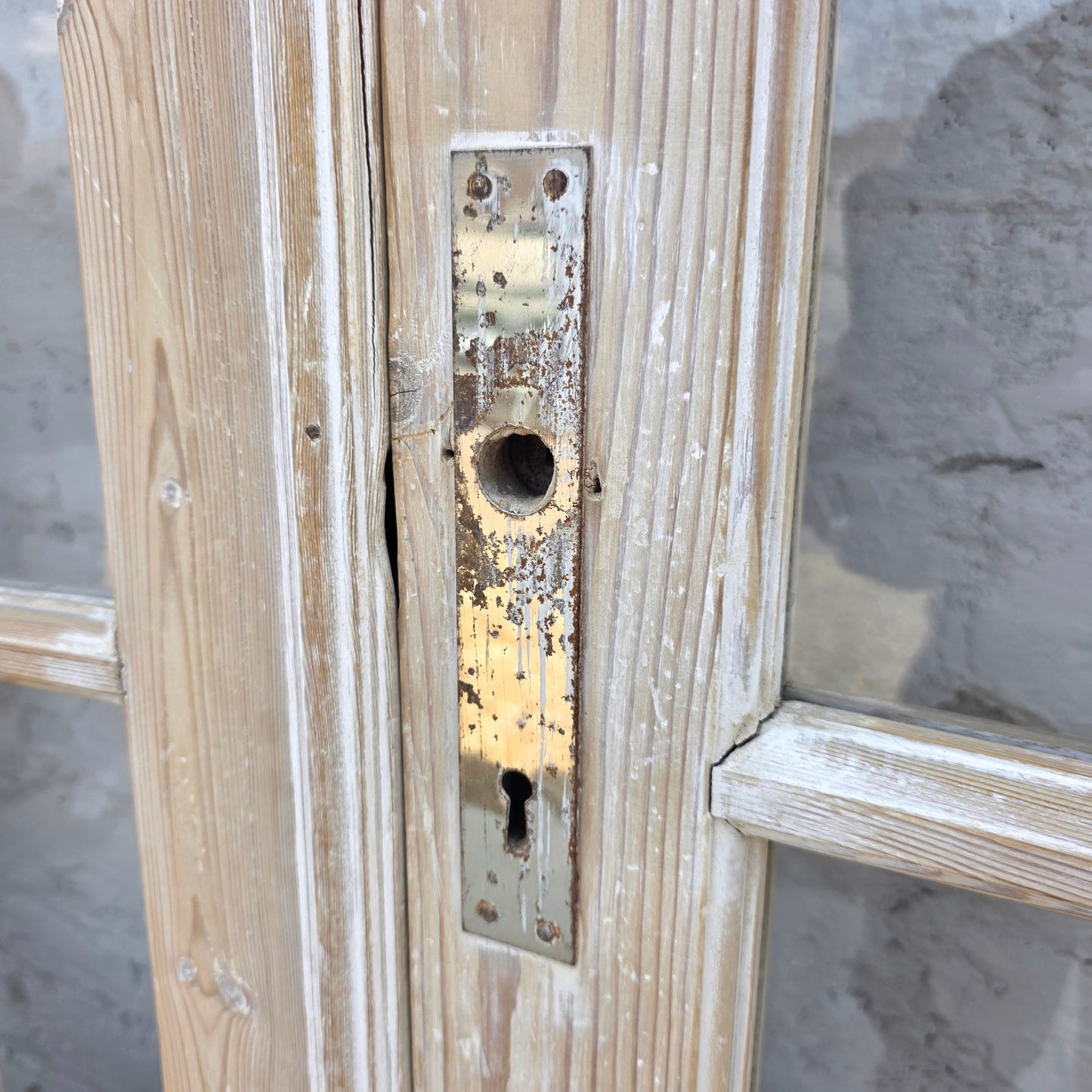 Set of 4 Washed Arched Doors w/48 Lites