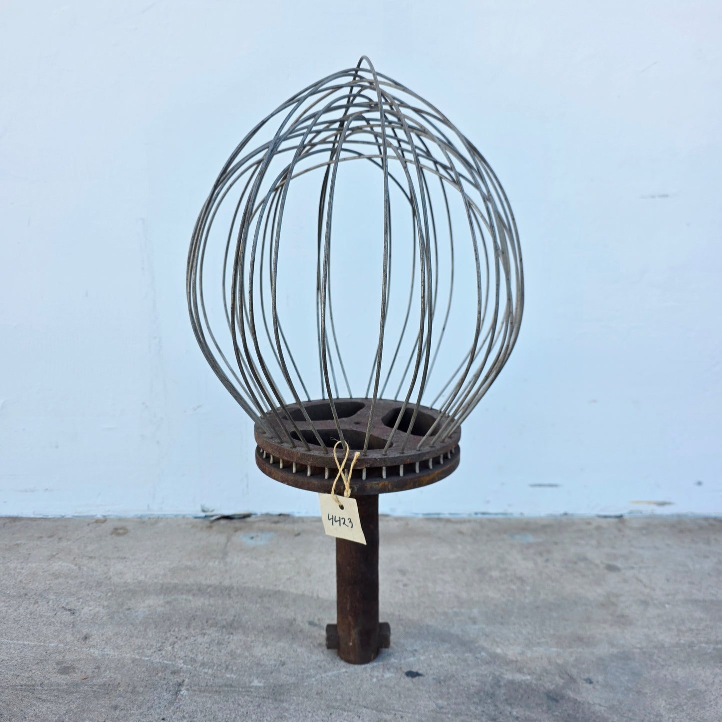 Whisk large
