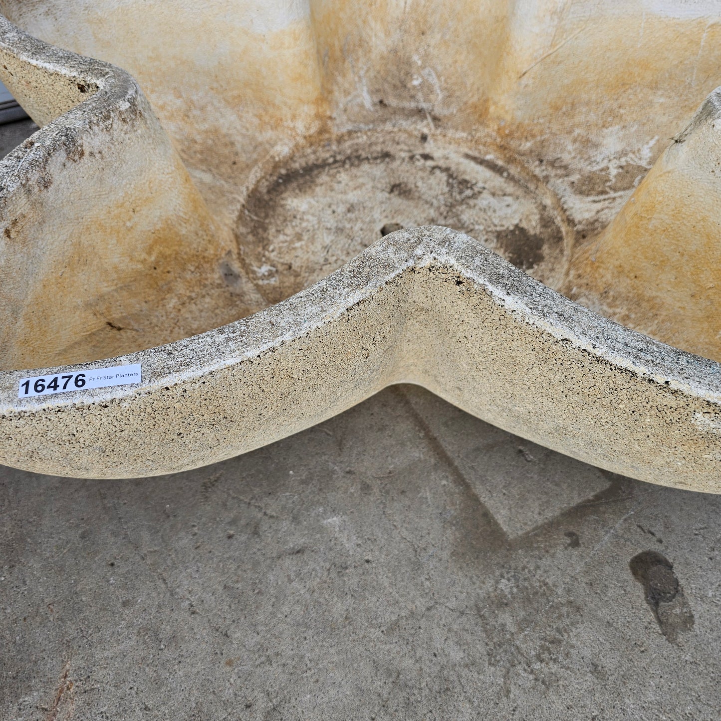 Pair of Large French Concrete Star Planters