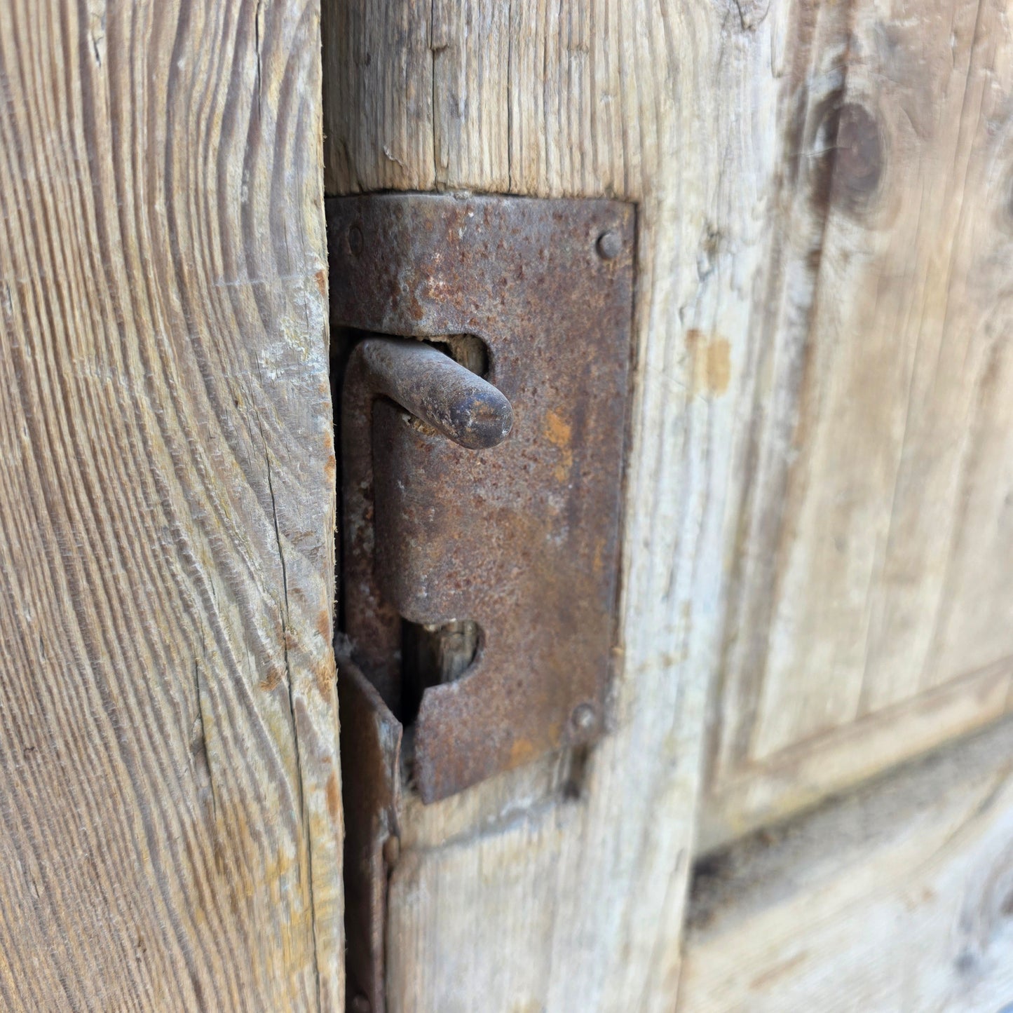 Pair of Carved Wood Doors w/2 Single Glass Lites