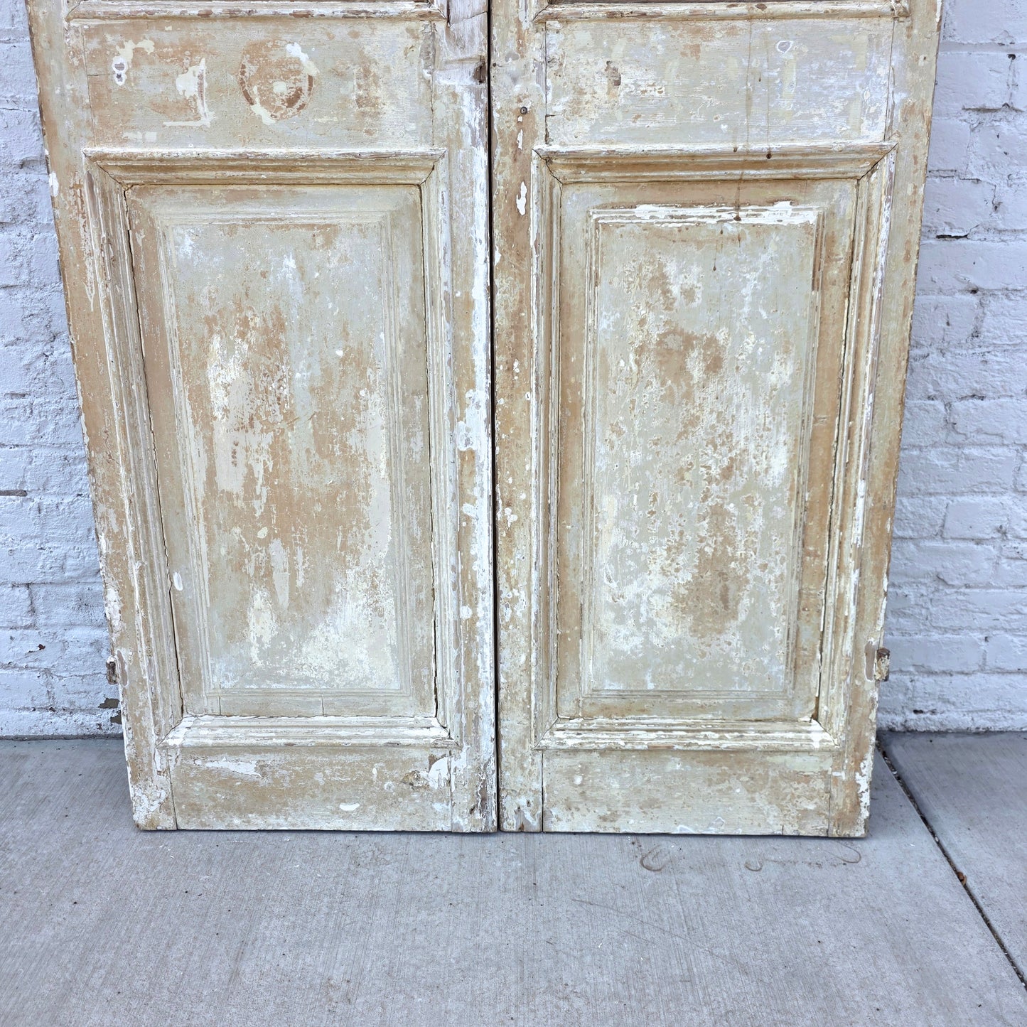 Pair of Washed Wood Single Lite Carved Antique Doors