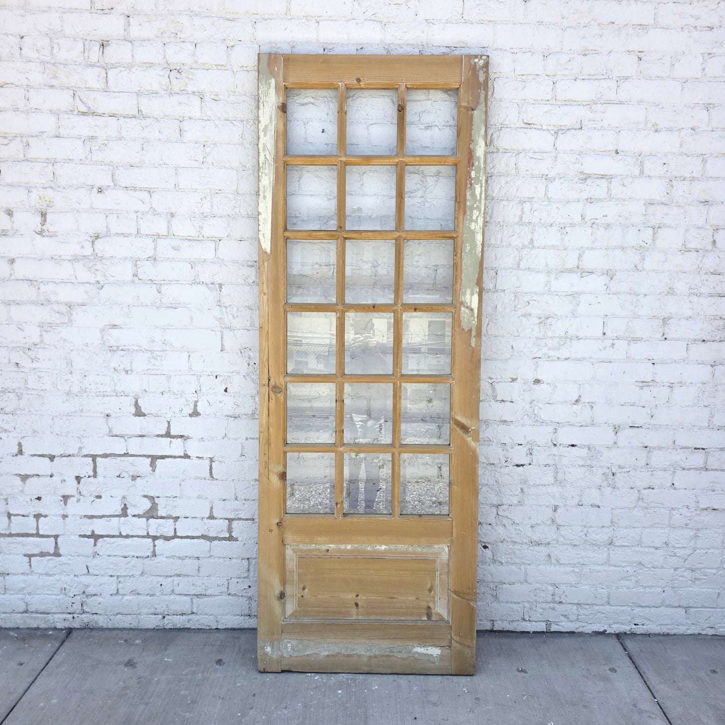 Single Antique French Door with 18 Lites