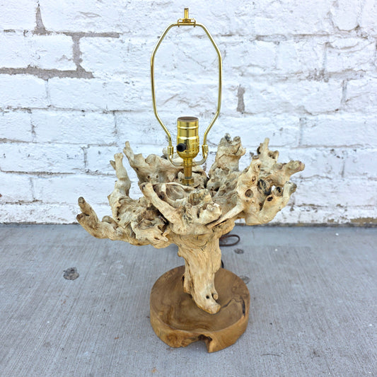 Grapewood Root Lamp