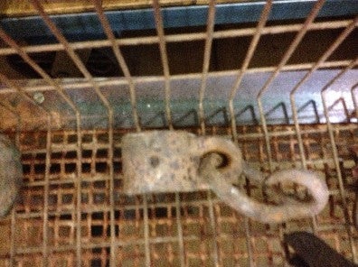 Hook, chain