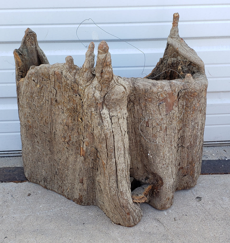 Salvaged Decorative Cypress Knee Wall Antiquities Warehouse