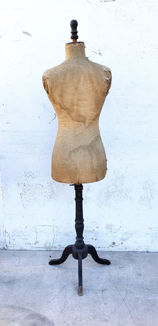 Antiques Atlas - Vintage LEVINE Mannequin / Dressmakers Dummy as342a1316 /  dressmakersdummyONE MP