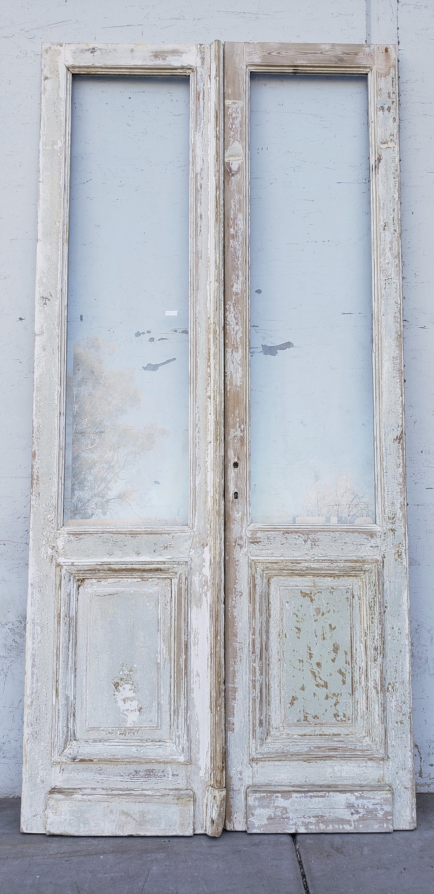 Pair of Washed Wood Single Lite Antique Doors