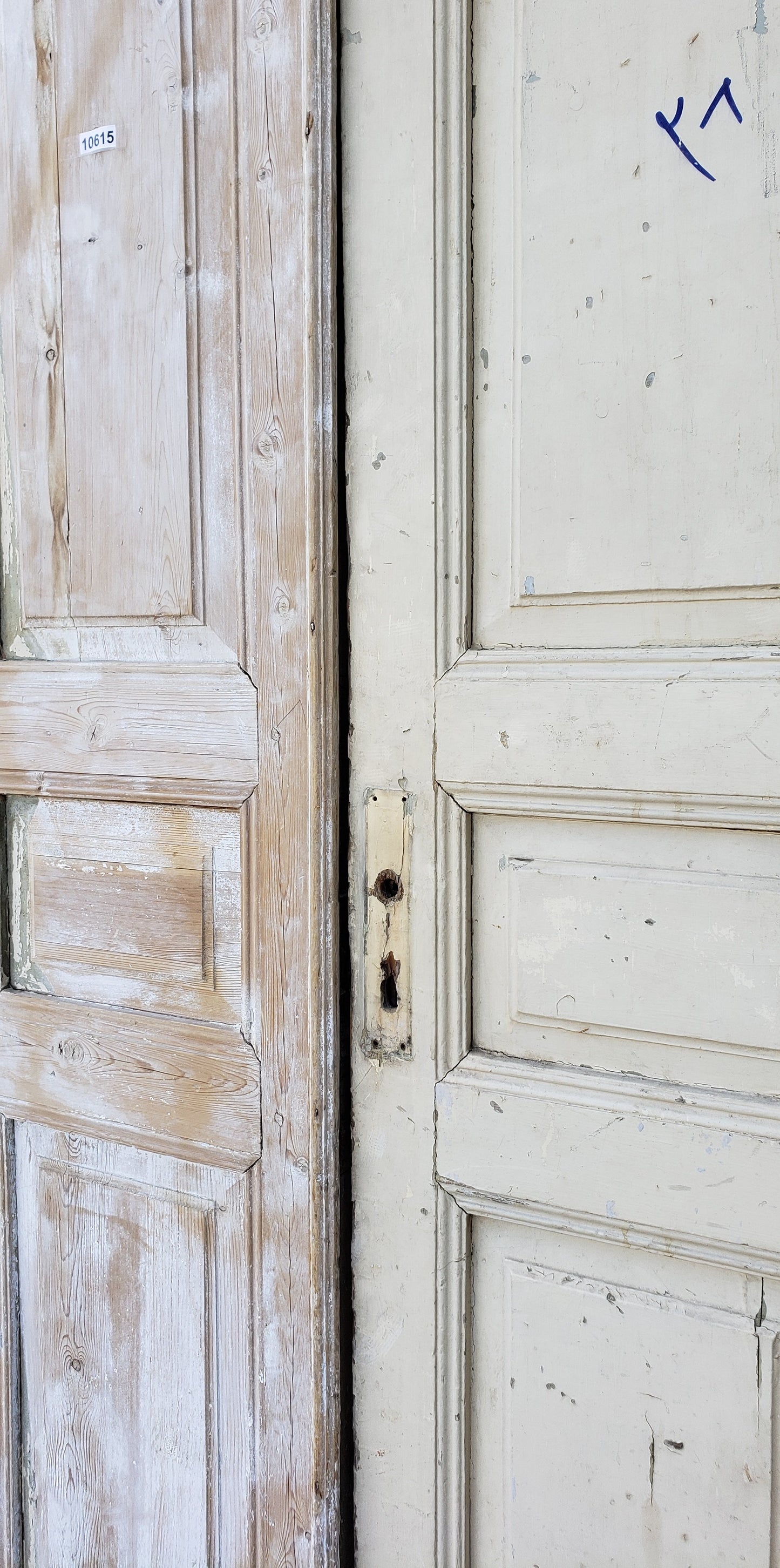 Pair of 3 Panel Washed Wood Antique Doors