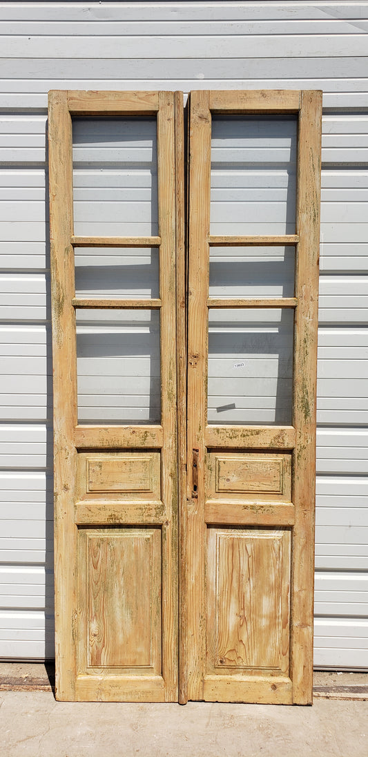 Pair of Painted Antique Doors with 3-Lites
