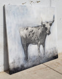 "Steer" Painting by Matt Priebe