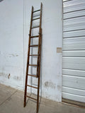 Tall Extendable Ladder