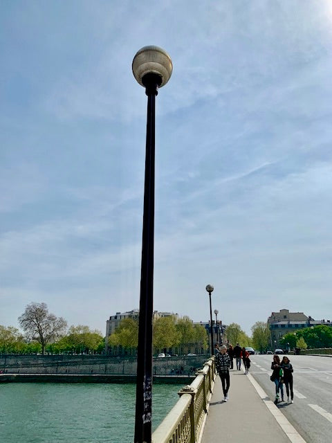 Repurposed Paris Streetlight Pendant Light (Small)