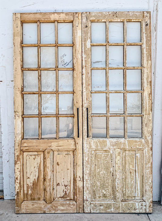 Pair of 2 Panel 15 Lite Painted Wood French Antique Doors