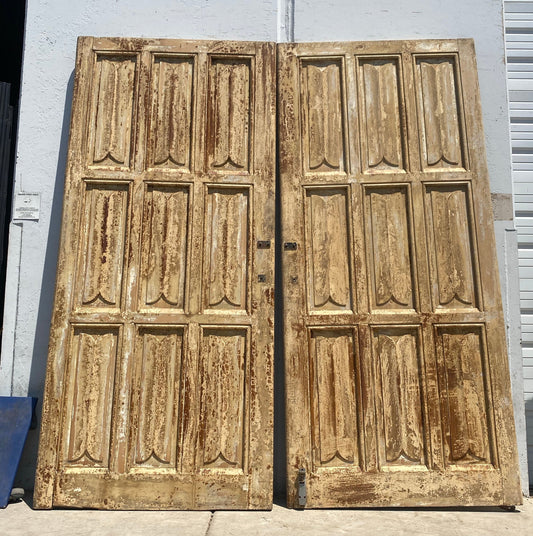 Pair of Washed Wood 9 Panel Antique Doors