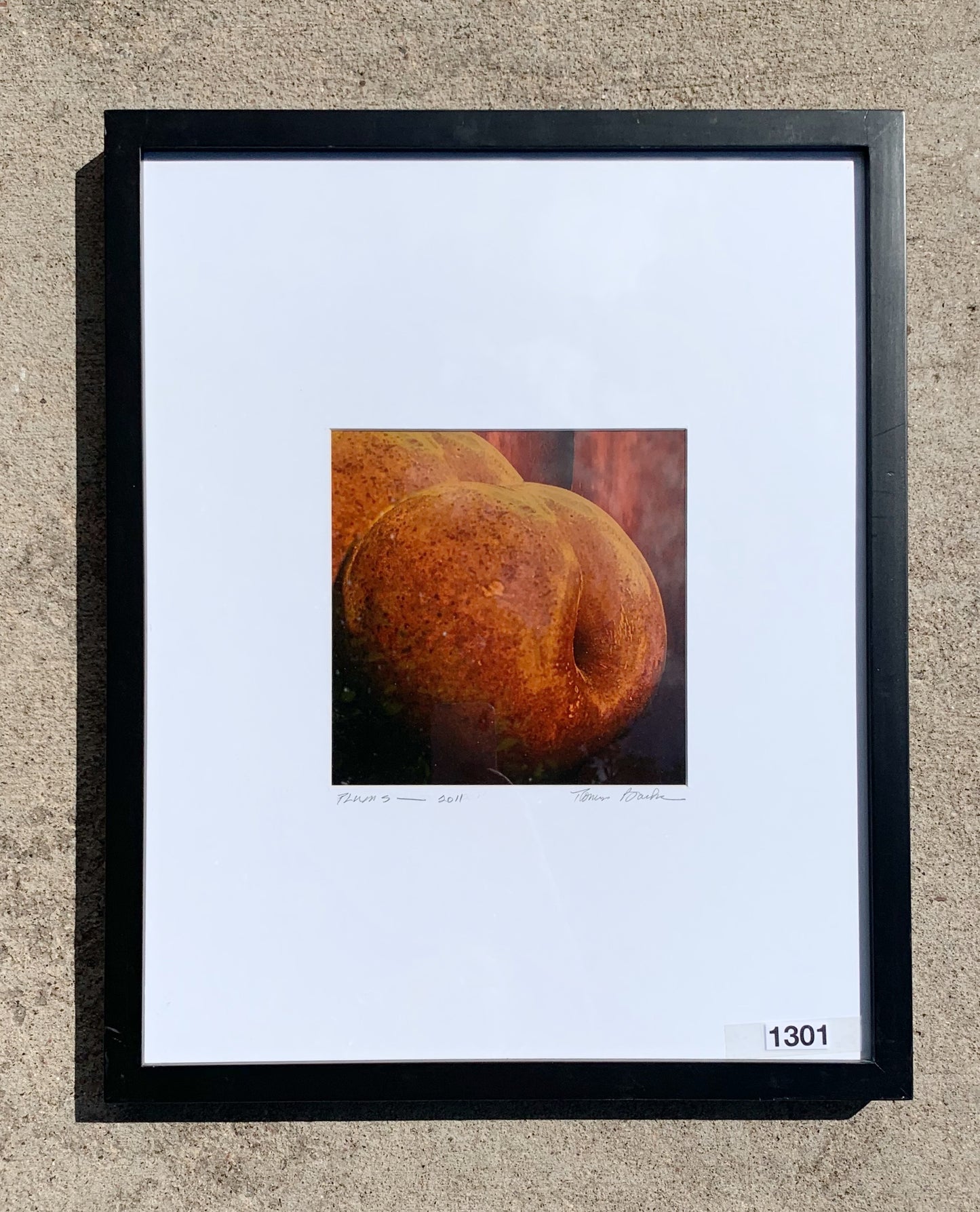 Thomas Barker“Plums” Framed Digital Archival Print Photography/Art
