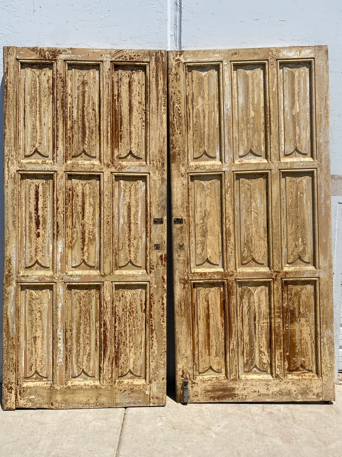 Pair of Washed Wood 9 Panel Antique Doors