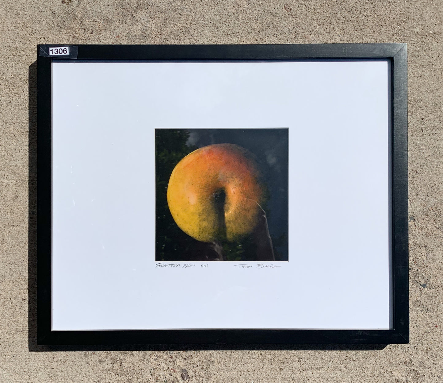 Thomas Barker “Forbidden Plum” Framed Digital Archival Print Photography/Art